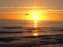 Bretagne